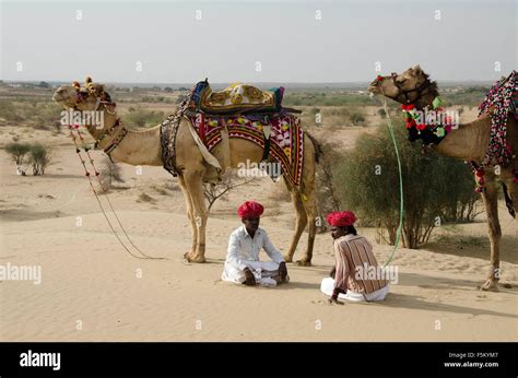 Men With Camel Thar Desert Jaisalmer Rajasthan India Asia No Mr