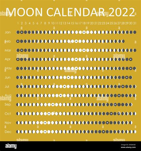 2022 Moon Calendar Astrological Calendar Design Planner Place For