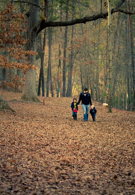 Taking A Walk In The Woods Walk In The Woods Nature Outdoor