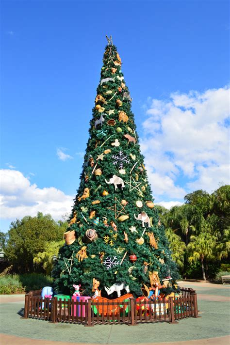 Why Bother With Christmas At Animal Kingdom Wdw Magazine