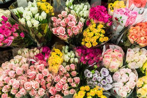 Bunches and bunches of colourful spray roses - which colour is your ...