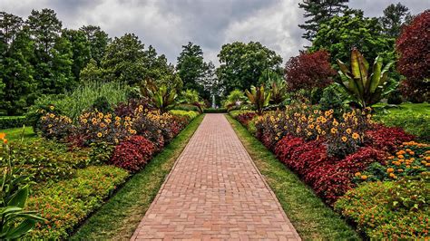Wallpaper pemandangan kebun hijau indah dan keren. Download 7800 Koleksi Background Hd Taman Terbaik ...