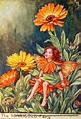 ON HOLD 1930s FAIRY Cicely Mary Barker Print Ideal for Framing