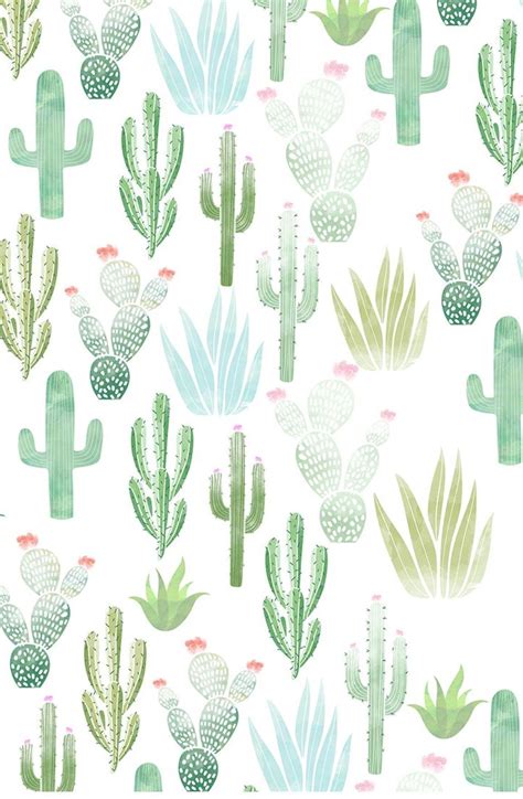 Cactus Print Wallpapers Top Nh Ng H Nh Nh P