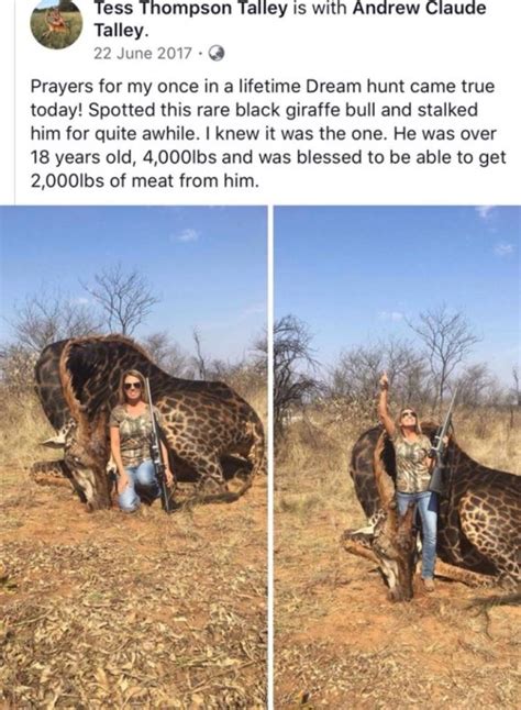 Trophy Hunter Tess Thompson Talley Complains Of ‘vile Messages And Death Threats Metro News
