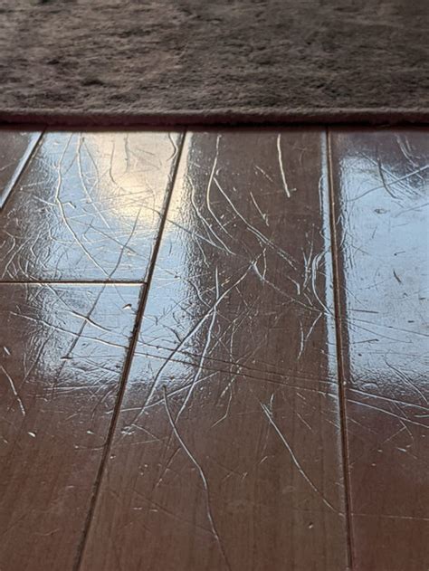 How To Buff Out Dog Scratches On Hardwood Floors Floor Roma