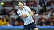 David Ferrer faces Roger Federer's conqueror in first round of Erste ...