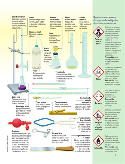 ≡ Issuu ᐈ Prácticas De Laboratorio Biología 4to Año Ebook Pdf