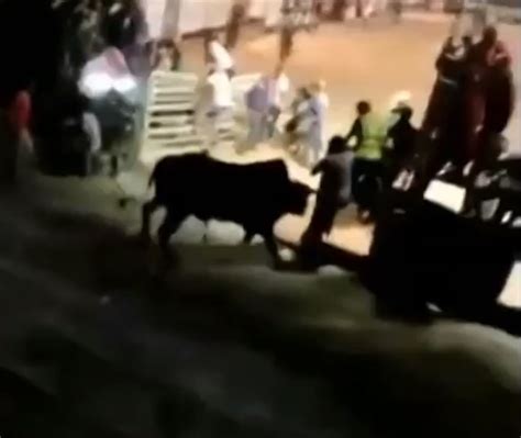 Ap S Touro Invadir Arquibancada De Rodeio Em Patroc Nio Dois Ltimos