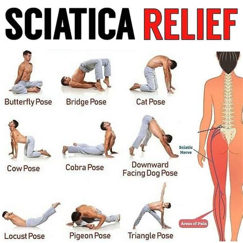 Yoga For Sciatica Sciatica Stretches Sciatica Pain Relief Sciatic Pain Sciatic Nerve
