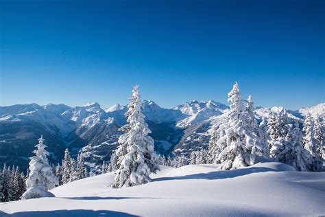 fonds d ecran 4200x2800 hiver montagnes photographie de paysage neige arbres picea nature