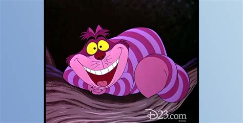 Cheshire Cat D23