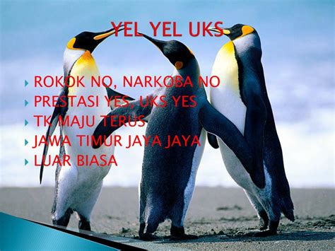 Student's book by wildman jayne, styring james, khotuntseva elena. PPT - UKS MENCIPTAKAN SEKOLAH SEHAT BERKUALITAS PowerPoint ...