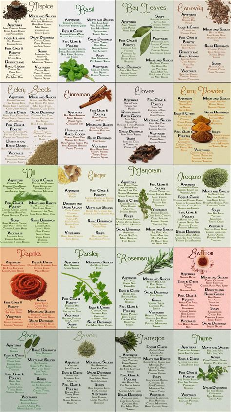 Herb And Spice Chart Common Sense Evaluation