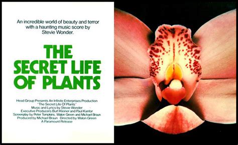 The Secret Life Of Plants