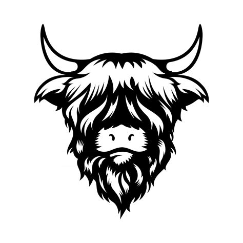 Highland cow head design on white background. Farm Animal. Cows logos