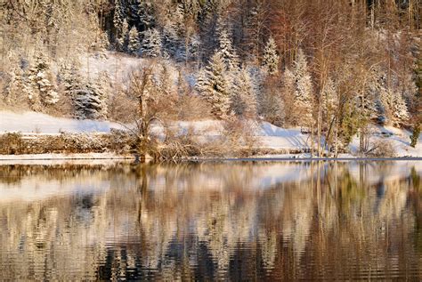 Fond Décran Paysage Forêt Lac Eau La Nature Réflexion Neige