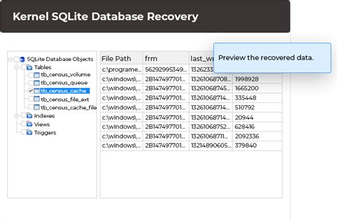 Sqlite Database Recovery Tool To Recover Sqlite File Components