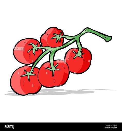 Tomatoes On Vine Illustration Stock Vector Image And Art Alamy