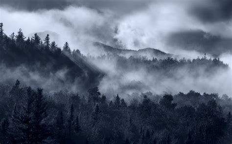 1920x1200 Landscape Nature Mist Forest Sunrise Mountain Clouds Sun