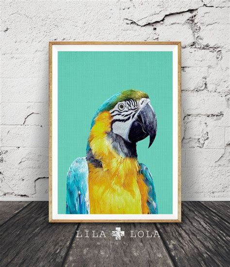 Tropical Bird Print Parrot Wall Art Bird Photography Macaw Etsy
