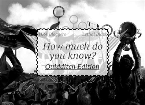 How Much Do You Know Quidditch Edition Harry Potter Amino