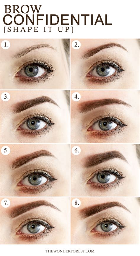 Brow Confidential 8 Different Eyebrow Shapes Wonder Forest Design