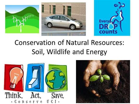 Natural Resources And Their Conservation For Class 7