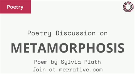 Poem Discussion Metamorphosis By Sylvia Plath