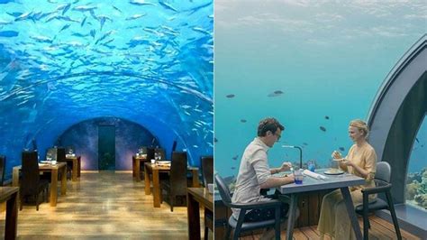 An Underwater Restaurant Has Opened In The Maldives And It Looks