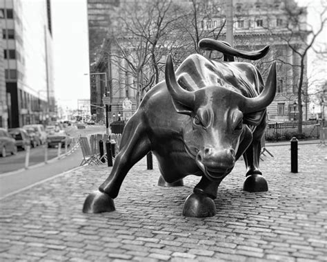 Wall Street Bull New York Bull Statue Charging Bull Black And White