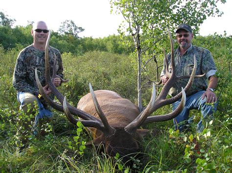 Possible Minnesota Record Elk Taken Scores Near 400 On Bandc Scale
