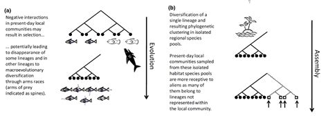 The Eeb And Flow Ecology In Evolutionary Times