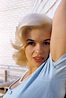 Jayne Mansfield photo 3 of 134 pics, wallpaper - photo #207492 - ThePlace2