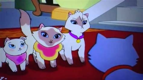 Sagwa The Chinese Siamese Cat Too Close For Comfort Youtube