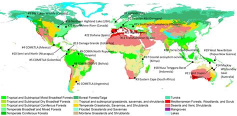 World Biomes Map Findel International World Map