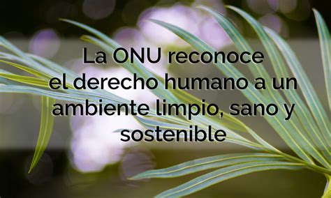 La Onu Reconoce El Derecho Humano A Un Ambiente Limpio Sano Y