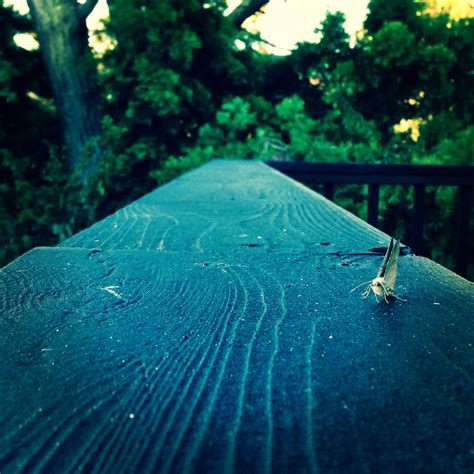 Find your next apartment in noe valley san francisco on zillow. Moth. Noe Valley, San Francisco | Noe valley, San, Francisco