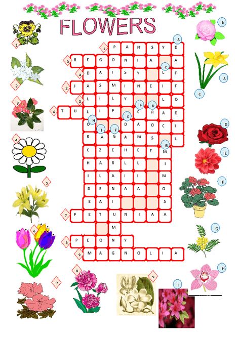 Flower Arranging Art Crossword The Hot Hobbies