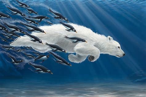 Underwater Blue White Urs Polar Bear Art Robert Bissell Penguin