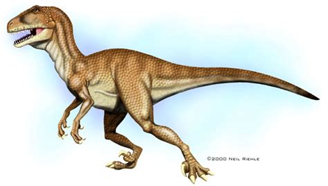 Deinonychus Vs Velociraptor