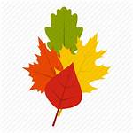 Icon Fall Leaf Leaves Season October Vectorified