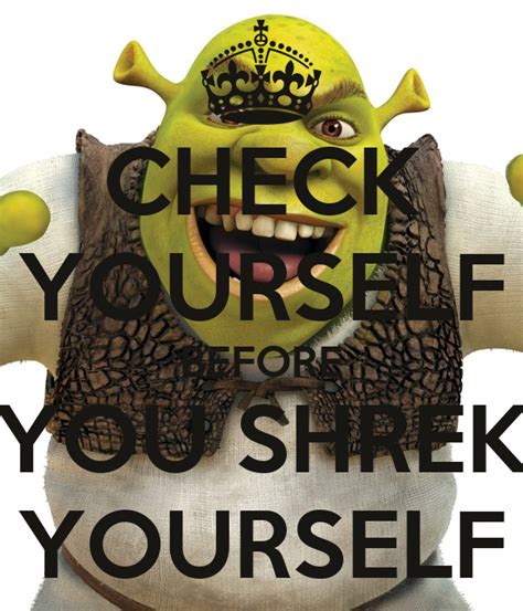 check yourself before you shrek yourself poster ogre keep calm o matic