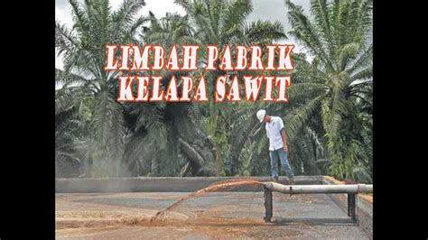 KOLAM LIMBAH PABRIK KELAPA SAWIT YouTube