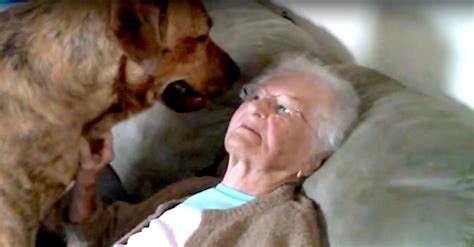 Gigantic Dog Jumps On Grandma But Wait Til You See What