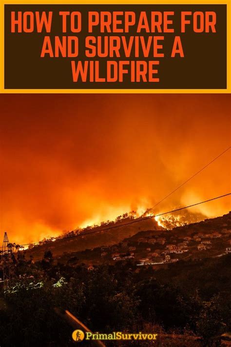 How To Prepare For And Survive A Wildfire Artofit