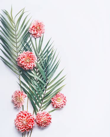 Maybe you would like to learn more about one of these? Tropical Palm Leaves And Exotic Flowers On White Desktop ...