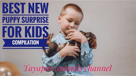 Best New Puppy Surprise For Kids Compilation Tayapar Animals Youtube