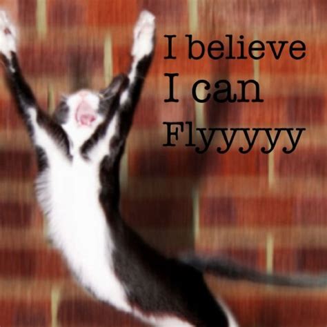 I believe I can fly. | Cute animal pictures, Funny animals, Animal jokes