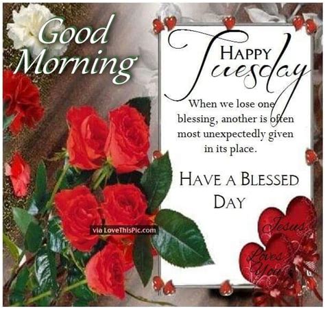 Good Morning Happy Tuesday Have A Blessed Day Quote With Roses Pictures
